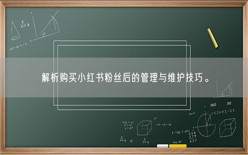 解析购买小红书粉丝后的管理与维护技巧。